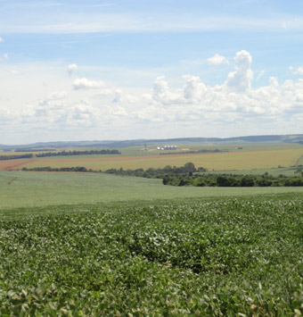 Campos Agrícolas